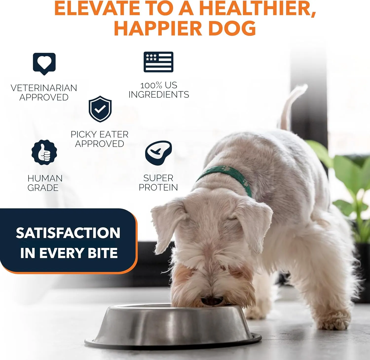100% Human Grade Air Dried Dog Food - All Natural - USA Grass Fed Beef - Limited Ingredient - Grain Free - Dehydrated - Complete Meal or Topper Beef Flavor - Sample Bag