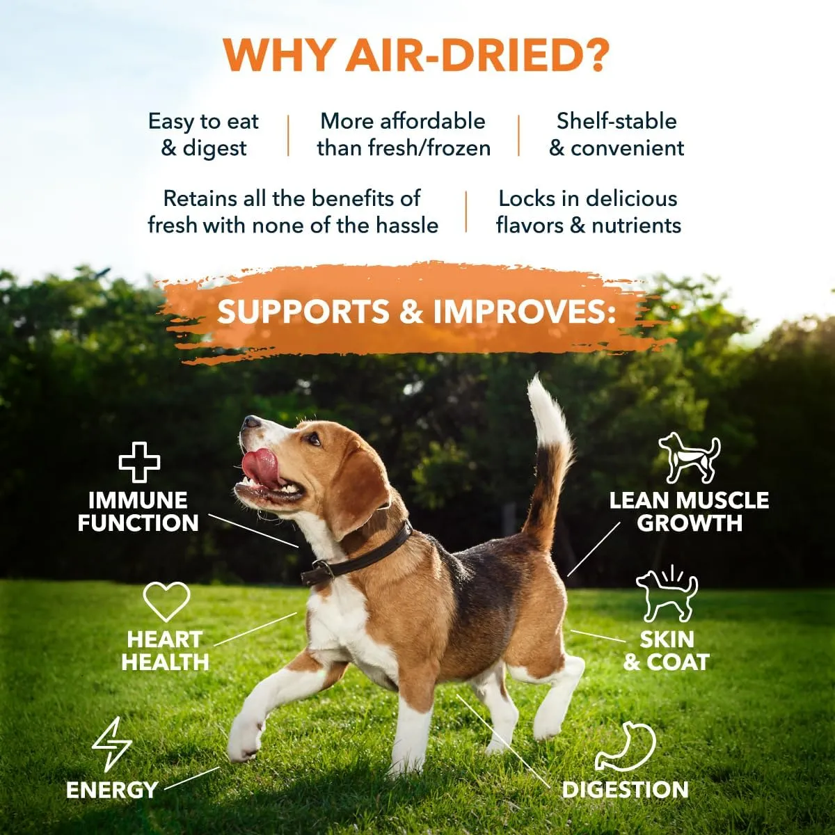100% Human Grade Air Dried Dog Food - All Natural - USA Grass Fed Beef - Limited Ingredient - Grain Free - Dehydrated - Complete Meal or Topper Beef Flavor - Sample Bag