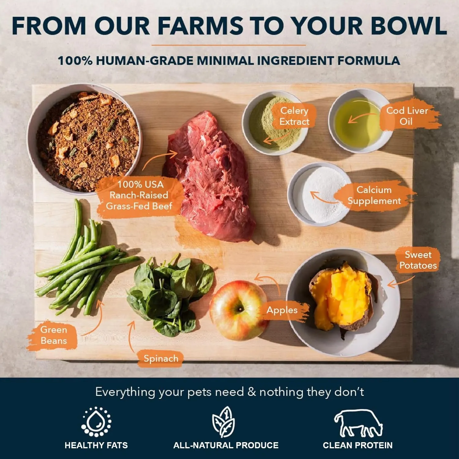 100% Human Grade Air Dried Dog Food - All Natural - USA Grass Fed Beef - Limited Ingredient - Grain Free - Dehydrated - Complete Meal or Topper Beef Flavor - Sample Bag