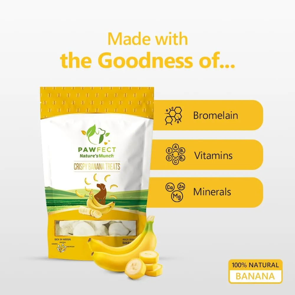 100% Natural Freeze-Dried Banana Treats for Dogs | Single Ingredient | Vegan Treats | Grain & Gluten Free | Low Calorie Training Treats (1.94oz)