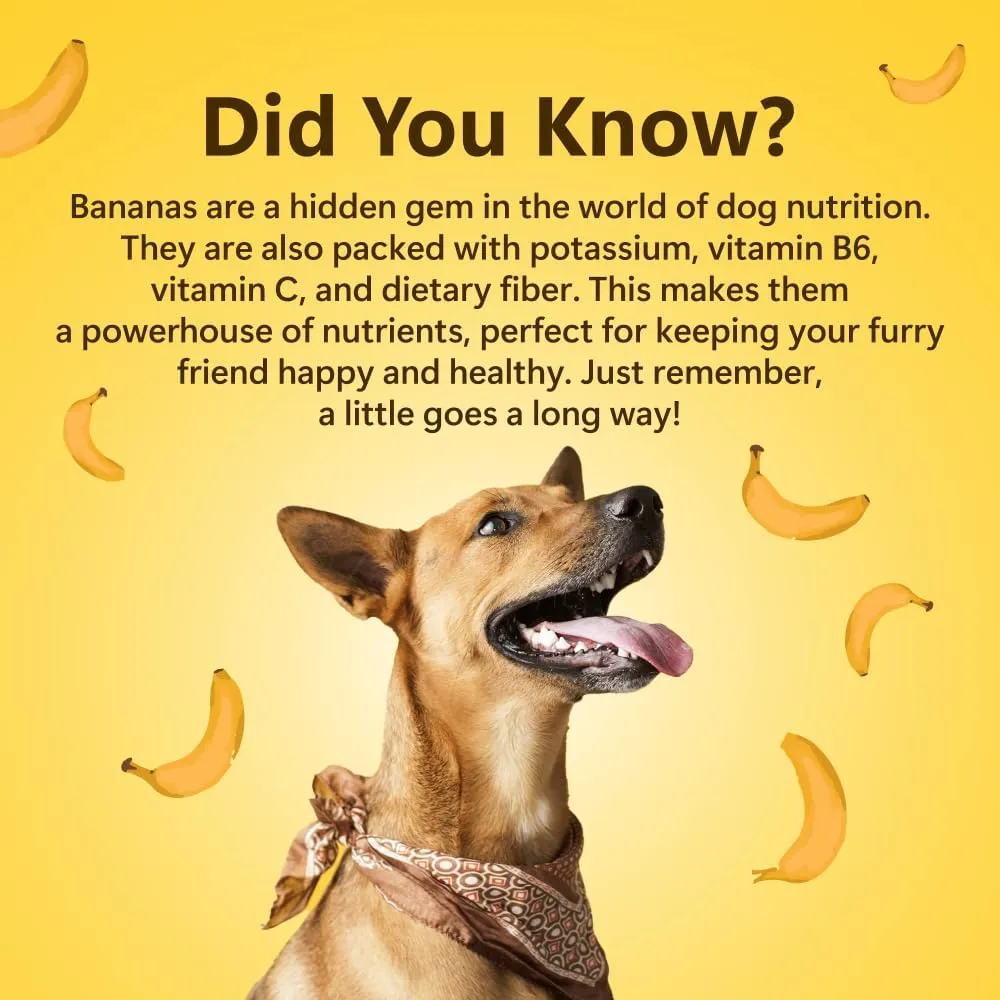 100% Natural Freeze-Dried Banana Treats for Dogs | Single Ingredient | Vegan Treats | Grain & Gluten Free | Low Calorie Training Treats (1.94oz)