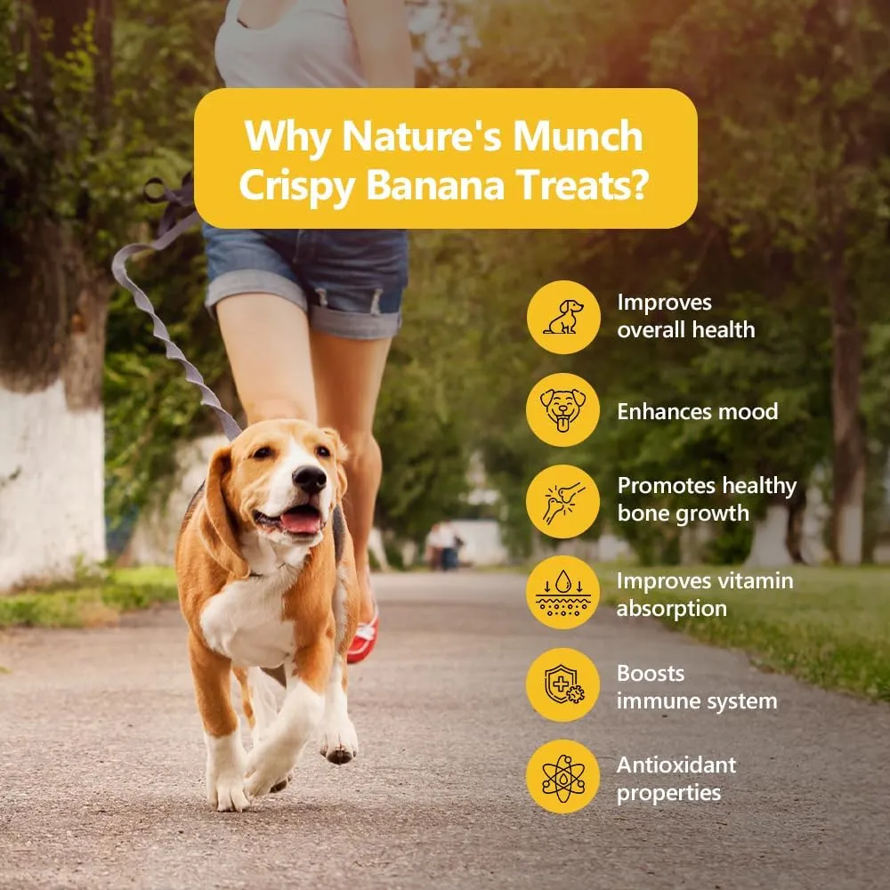 100% Natural Freeze-Dried Banana Treats for Dogs | Single Ingredient | Vegan Treats | Grain & Gluten Free | Low Calorie Training Treats (1.94oz)