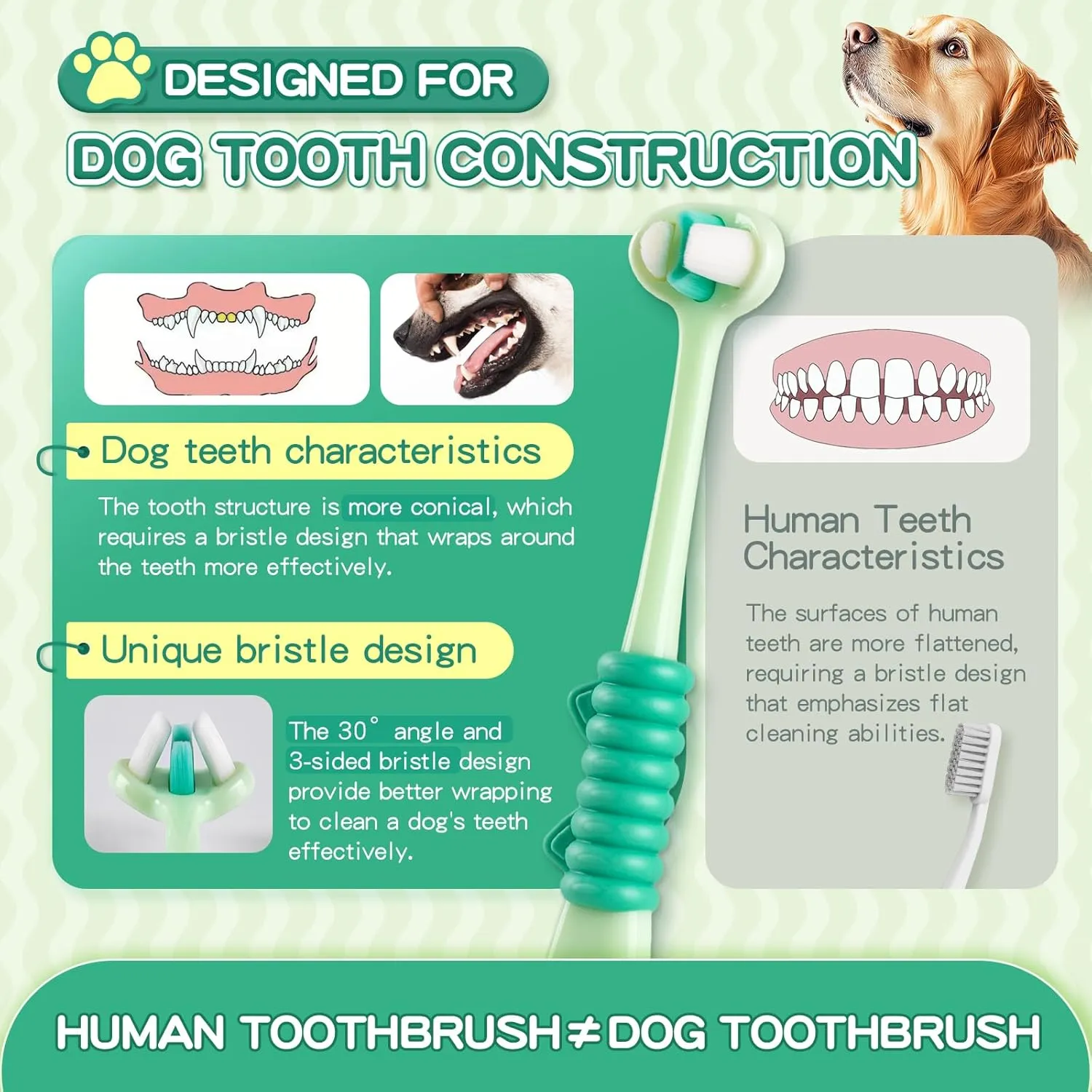 3-Sided Dog Toothbrush, Pet Toothbrushes, Pet Dental Care Oral Hygiene, Ultra Soft Nano Bristles for Your Pet's Sensitive Teeth and Gums, for All Dogs, 2-Pack