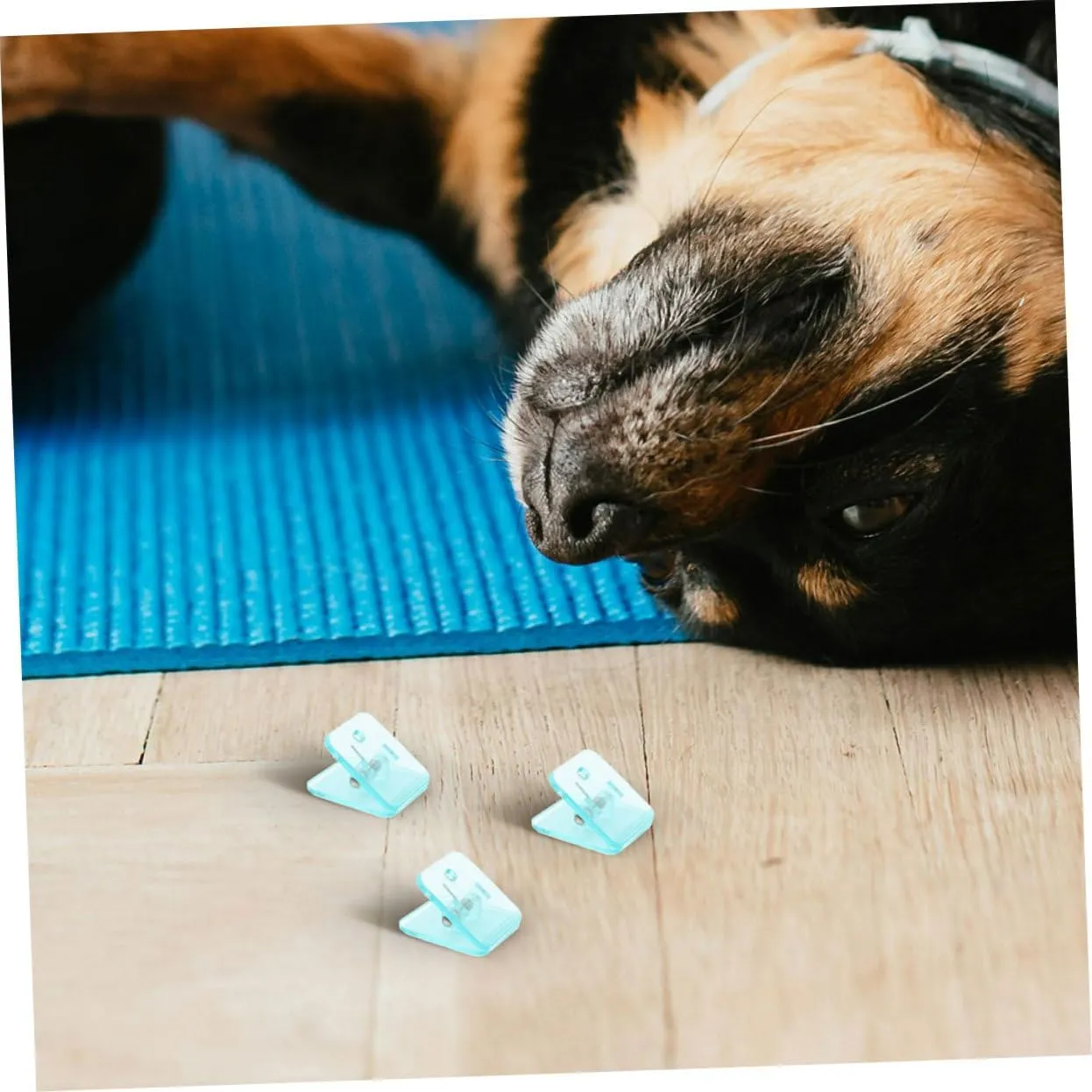 8pcs Pee Pad Holder Dog Training Floor Protection Holder Potty Pad Wall Clip Pee Pad Hold for Wall Pee Training Pad Holder Dog Potty Pad Holder Dog Training Pads Sky-Blue