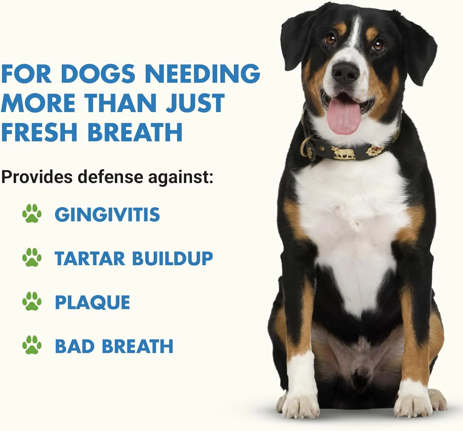 Advanced Teeth & Gums Supplements for Dogs | Dental Care for Dogs | Oral Mouth Care | Tartar   Plaque   Gingivitis