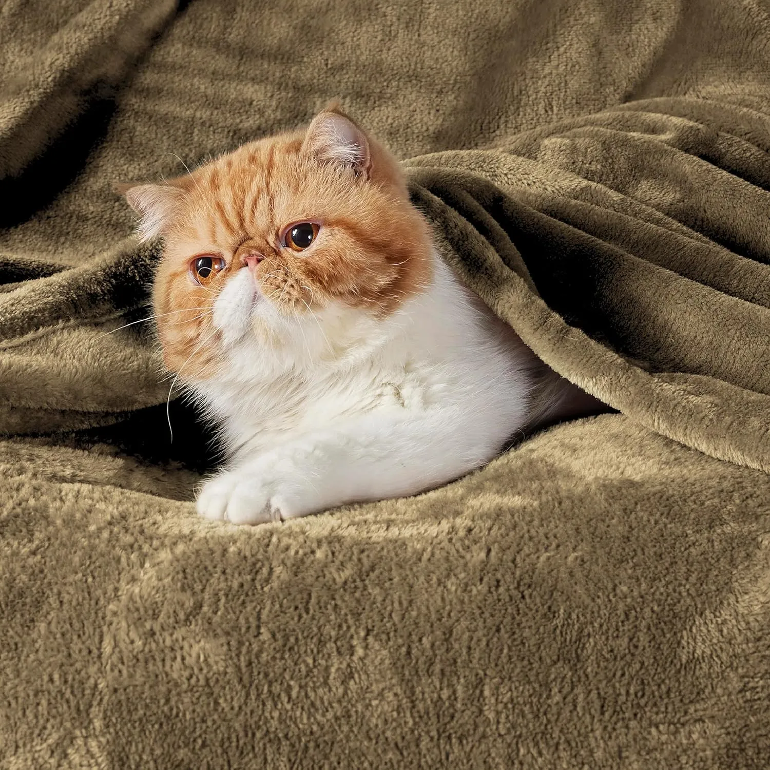 Bedsure Fleece Blankets Queen Size Camel - Bed Blanket Soft Lightweight Plush Fuzzy Cozy Luxury Microfiber, 90x90 inches