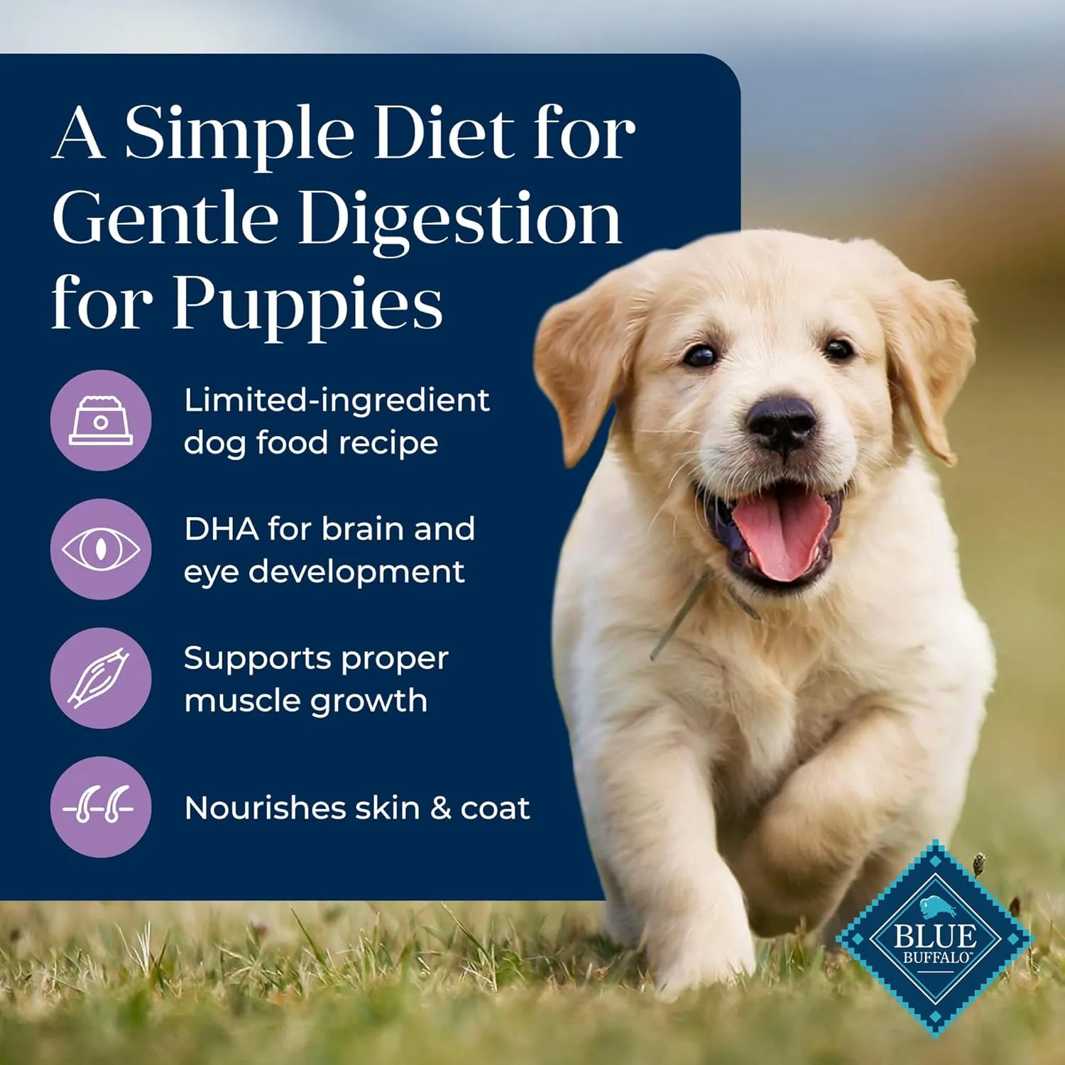 Blue Buffalo Basics Dry Dog Food for Puppies, Skin & Stomach Care, Limited Ingredient Diet for Dogs, Turkey Recipe, 24-lb. Bag