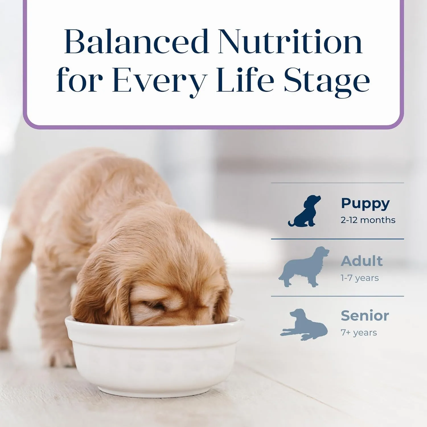 Blue Buffalo Basics Dry Dog Food for Puppies, Skin & Stomach Care, Limited Ingredient Diet for Dogs, Turkey Recipe, 24-lb. Bag