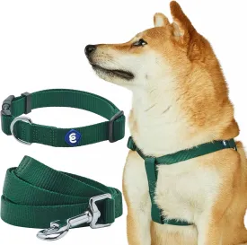 Blueberry Pet Essentials Matching Dog Collar Leash Harness Set in Verdant Green, Adjustable Classic Solid Color Nylon Collar with Harness & 5 ft Leash for Small Dogs