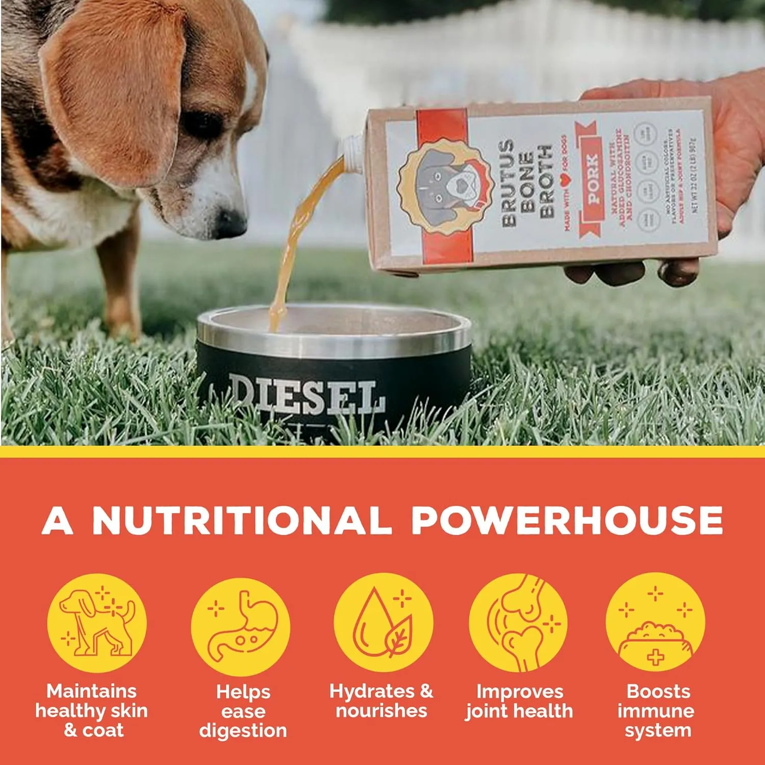 Brutus Bone Broth for Dogs | All Natural | Made in USA | Glucosamine & Chondroitin for Healthy Joints | Human Grade Ingredients | Hydrating Dog Food Topper, Gravy & Treat (Pork)
