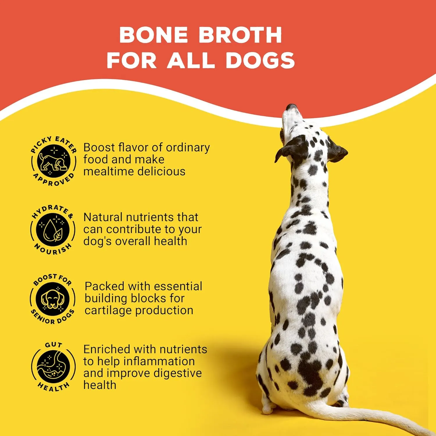 Brutus Bone Broth for Dogs | All Natural | Made in USA | Glucosamine & Chondroitin for Healthy Joints | Human Grade Ingredients | Hydrating Dog Food Topper, Gravy & Treat (Pork)
