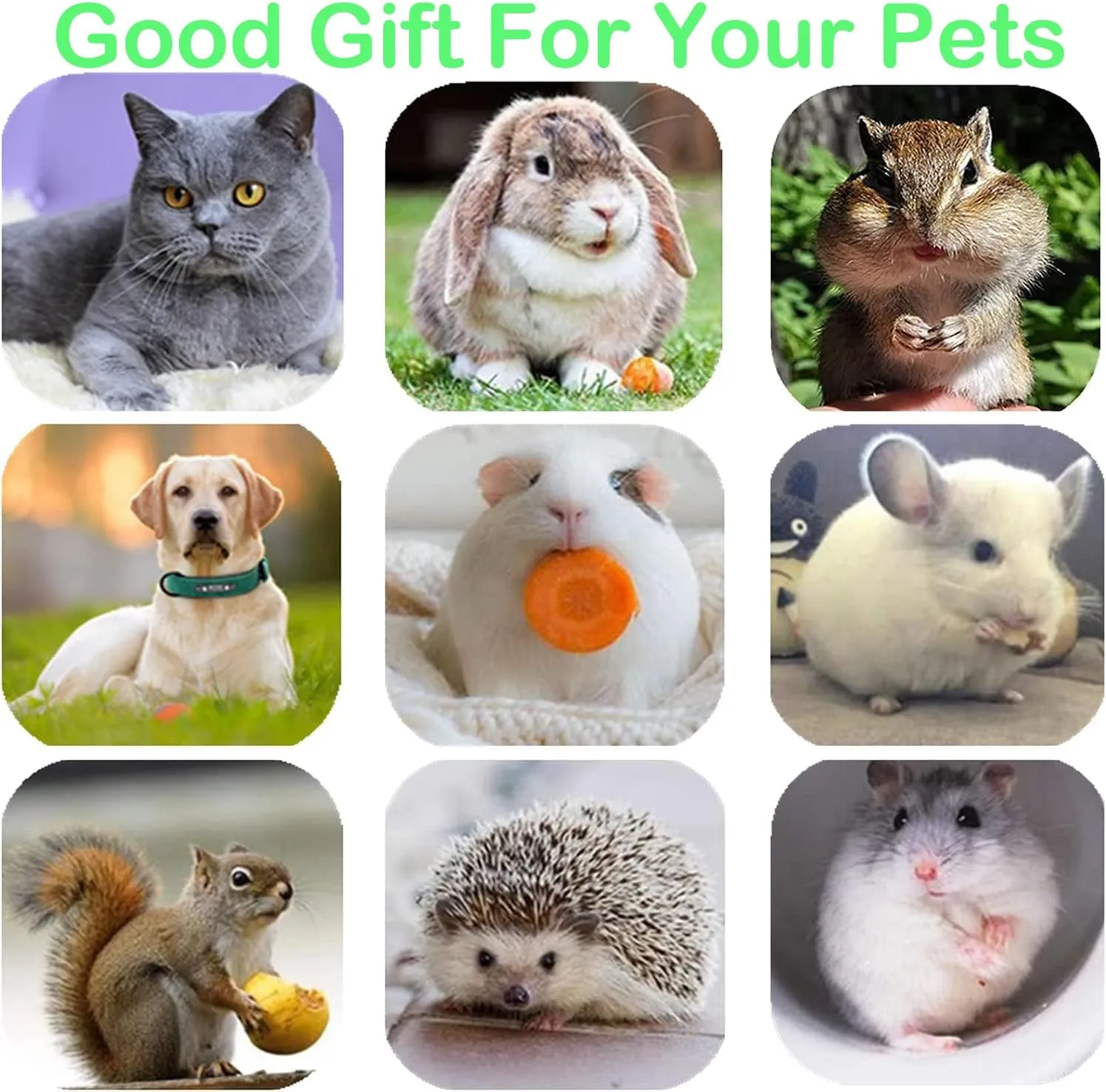 Cat Toys 3-Pack Cat Treat Catnip Toys Silvervine Chew Stick, Kitten Teeth Cleaning Matatabi Mint Snack Dental Molar Food Wood Exercise for Indoor Kitty Rabbit Bunny Hamster Chinchilla