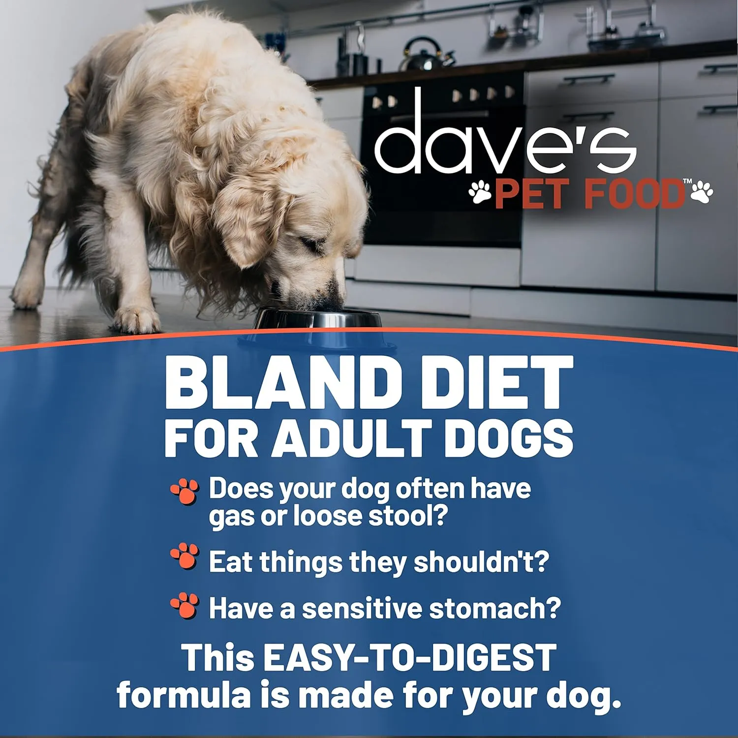 Dave's Pet Food Bland Diet Dog Food (Chicken & Rice), Sensitive Stomach, Easy to Digest, Gluten-Free, Digestive Care, Wet Canned, 13.2 oz (Case of 12)