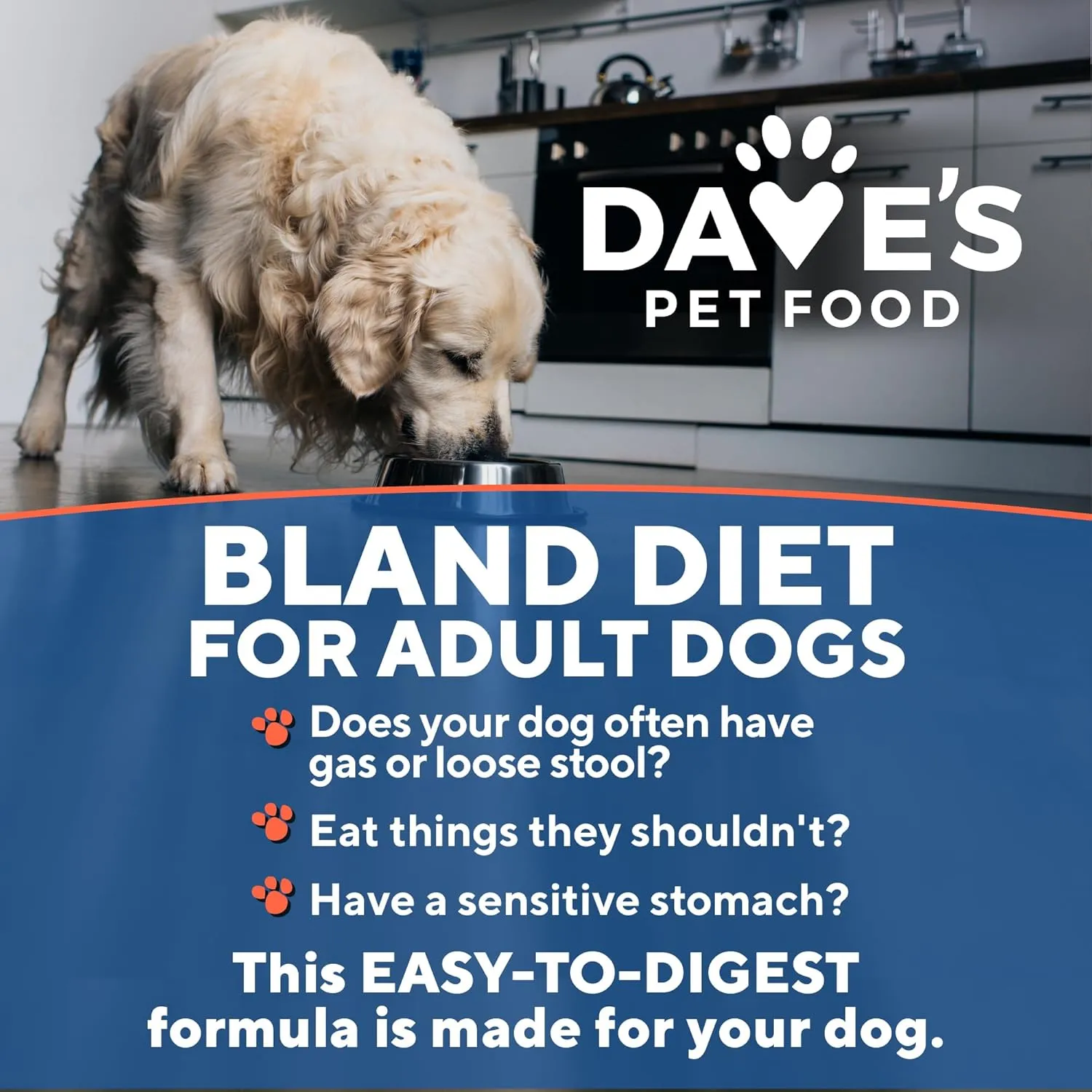 Dave's Pet Food Sensitive Stomach Dog Food (Chicken & Rice), Easy to Digest, Gluten-Free, Digestive Care, Wet Canned, 5.5 oz (Case of 24)