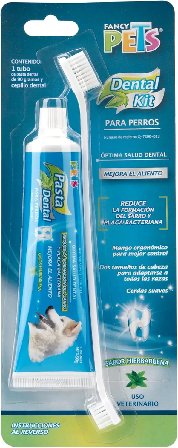 Dental Kit - Paste & Brush