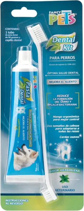 Dental Kit - Paste & Brush