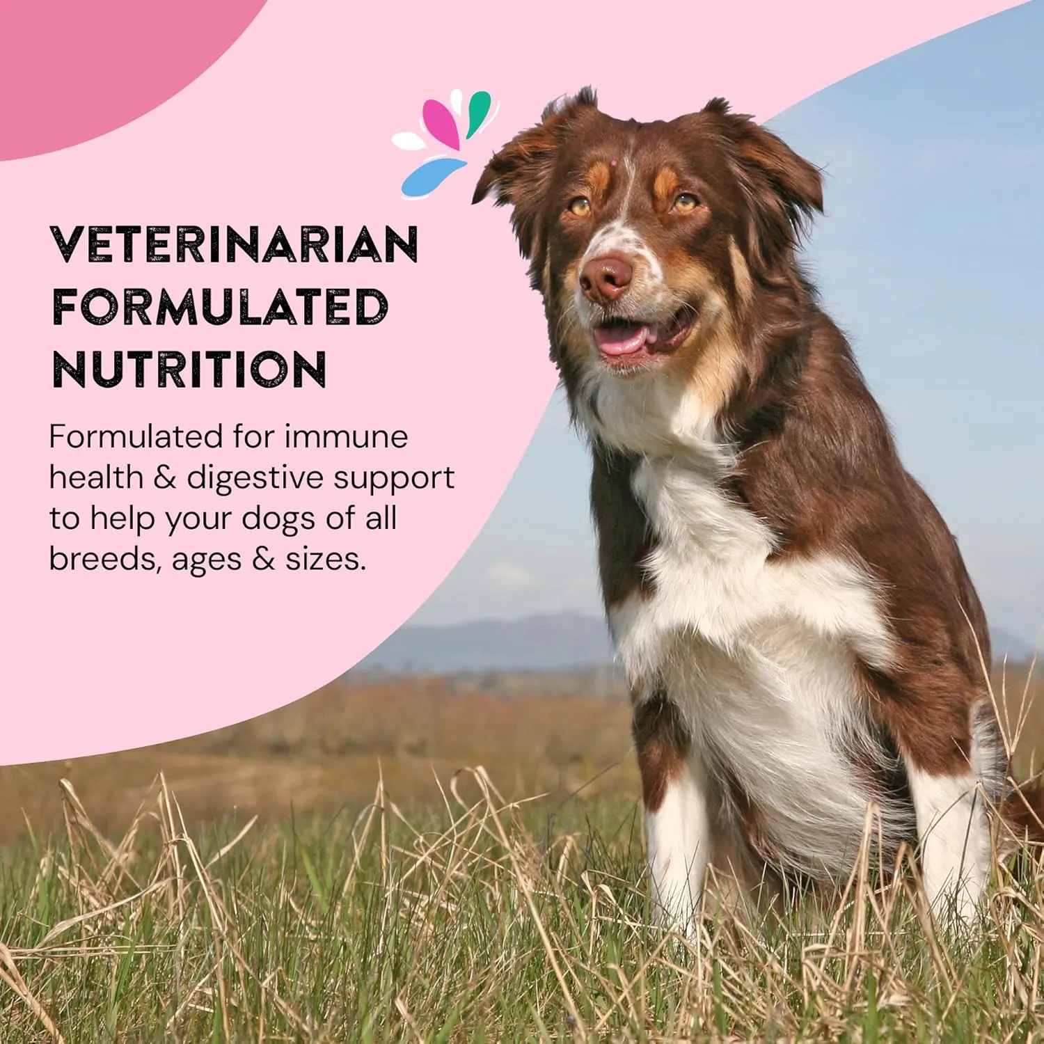 Dog Gut Health Probiotics Supplement | Improves Digestive Health and Immune System Support for Dogs and Puppies | All Natural Ingredients Tasty Kibble Dog Food Topper | 60 Count Pack
