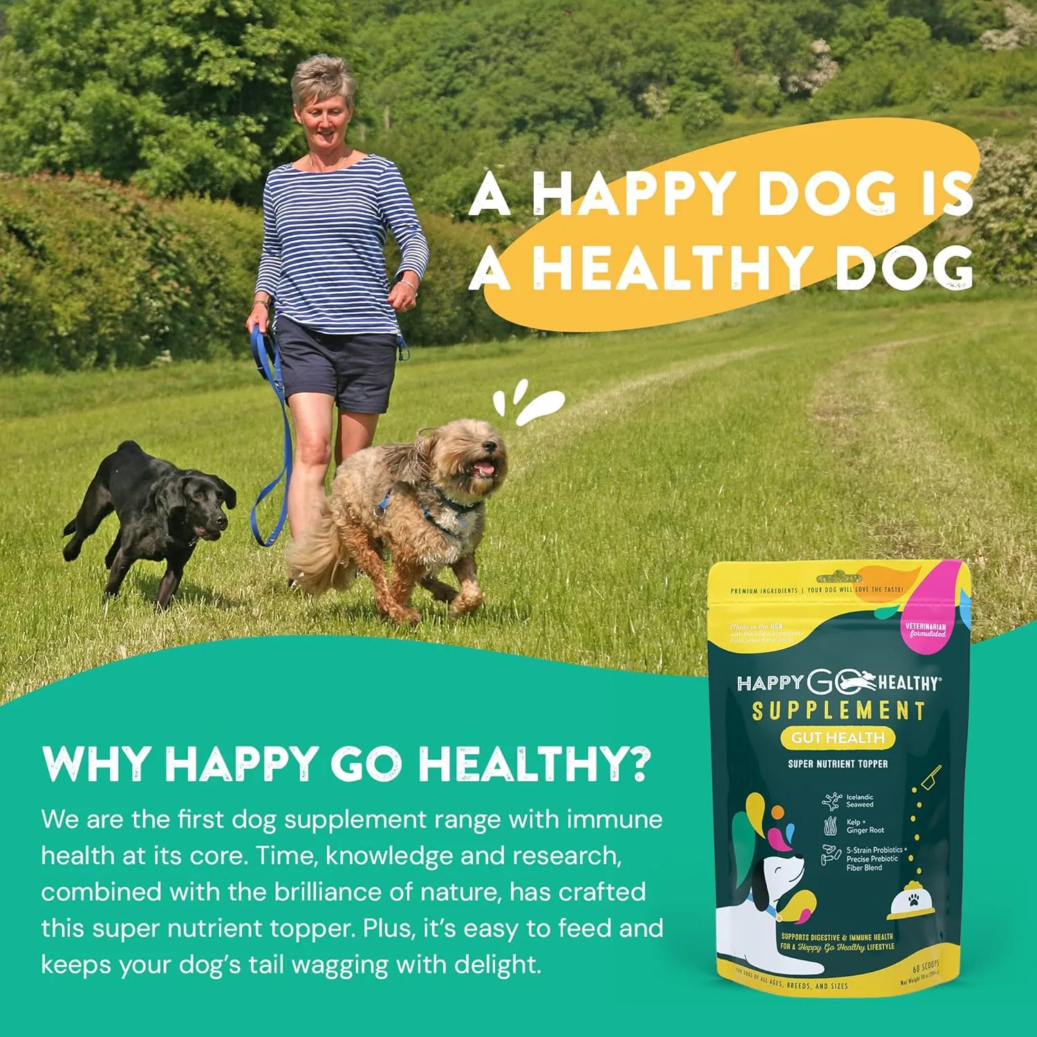 Dog Gut Health Probiotics Supplement | Improves Digestive Health and Immune System Support for Dogs and Puppies | All Natural Ingredients Tasty Kibble Dog Food Topper | 60 Count Pack