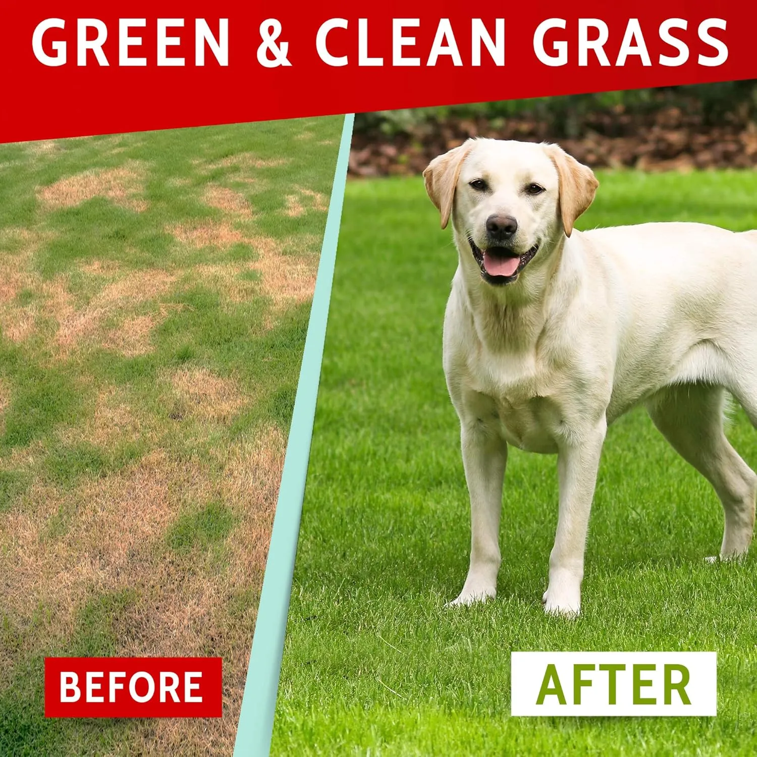 Dog Pee Grass Helper - Grass Treatment for Dog Urine - Dog Urine Neutralizer for Grass Burn Spots - Dog Pee Lawn Repair Treats with Probiotics - Made in USA - 120 Chews