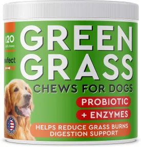 Dog Pee Grass Helper - Grass Treatment for Dog Urine - Dog Urine Neutralizer for Grass Burn Spots - Dog Pee Lawn Repair Treats with Probiotics - Made in USA - 120 Chews