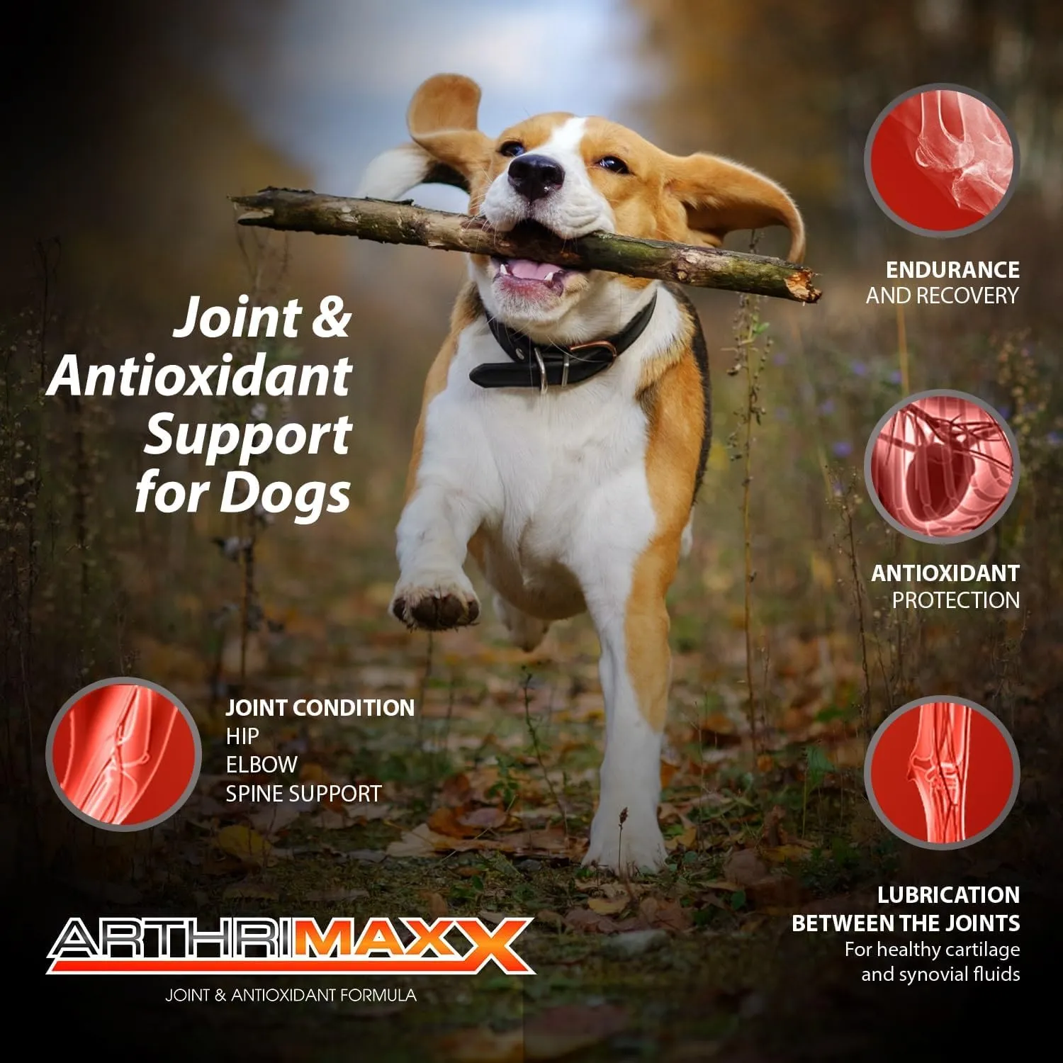 Dog Supplements for Joint Inflammation & Arthritis, Naturally Potent Dog Joint Care, Delicious Soft Chews with Turmeric, Omega 3, & Glucosamine for Dogs, Natural Liver Flavor, 120 Pc