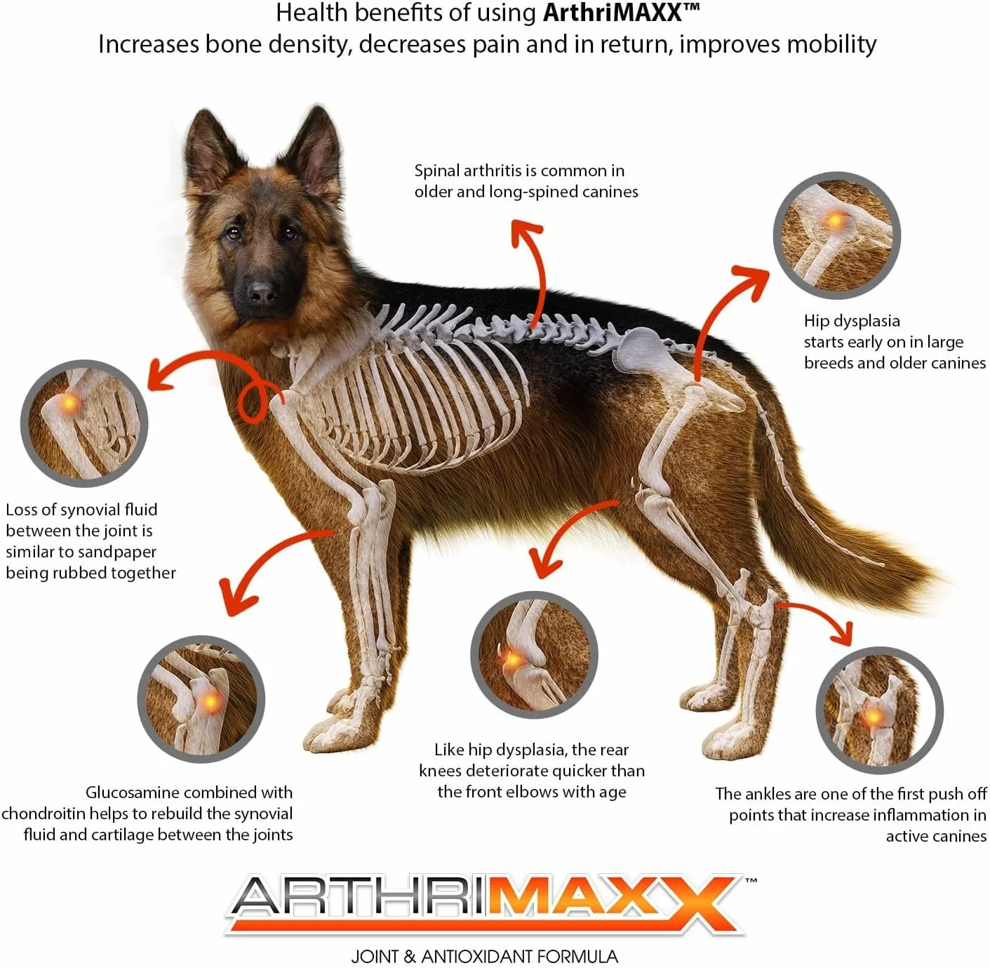 Dog Supplements for Joint Inflammation & Arthritis, Naturally Potent Dog Joint Care, Delicious Soft Chews with Turmeric, Omega 3, & Glucosamine for Dogs, Natural Liver Flavor, 120 Pc