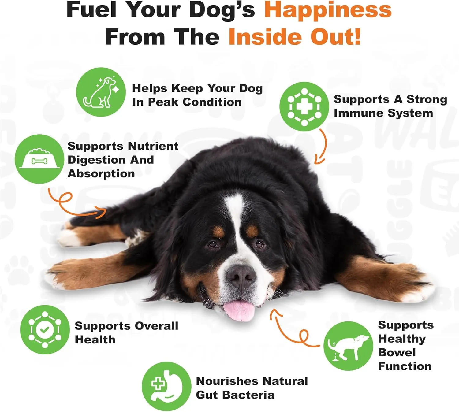 Doggie Dailies Probiotics for Dogs, 225 Soft Chews, Advanced Dog Probiotics with Prebiotics, Promotes Digestive Health, Supports Immune System and Overall Health (Pumpkin)