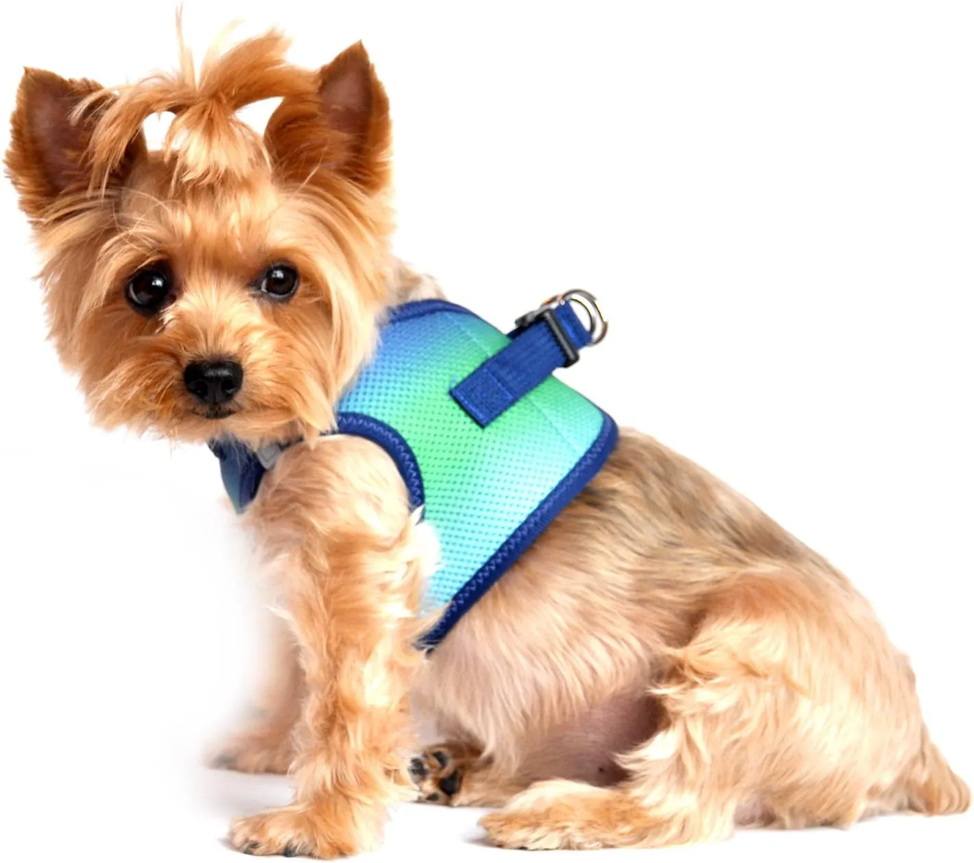 Doggie Design No Choke Dog Harness - Simple Step-in and Go Dog Vest for Small, Medium, and Large Breeds - Breathable Mesh Polyester Pet Harness - Northern Lights - S
