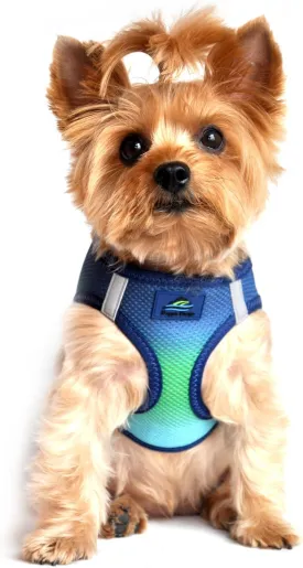 Doggie Design No Choke Dog Harness - Simple Step-in and Go Dog Vest for Small, Medium, and Large Breeds - Breathable Mesh Polyester Pet Harness - Northern Lights - S