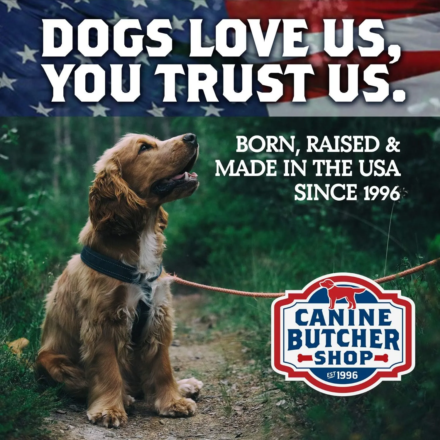 Duck Necks for Dogs, Raised & Made in USA, All-Natural Dog Chews, Treats (Pack of 12)