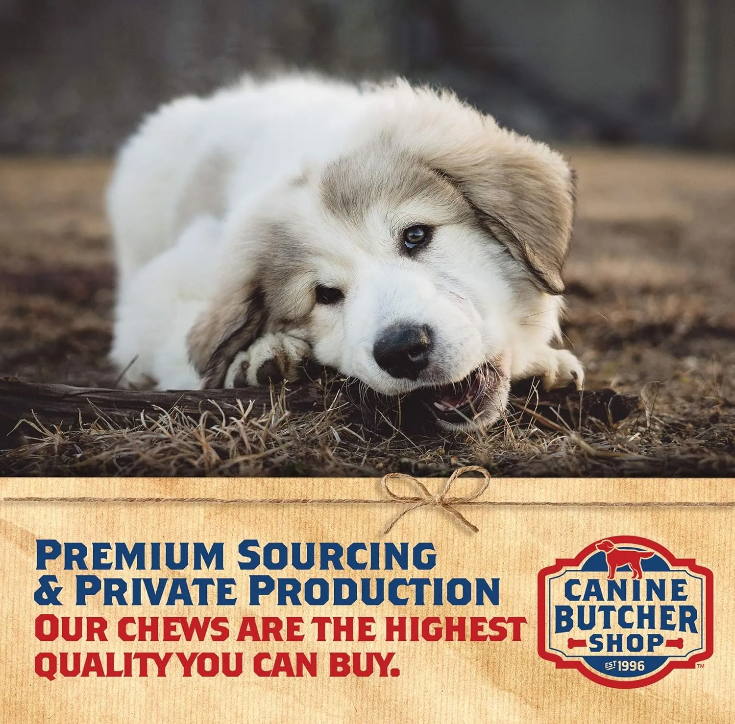 Duck Necks for Dogs, Raised & Made in USA, All-Natural Dog Chews, Treats (Pack of 12)