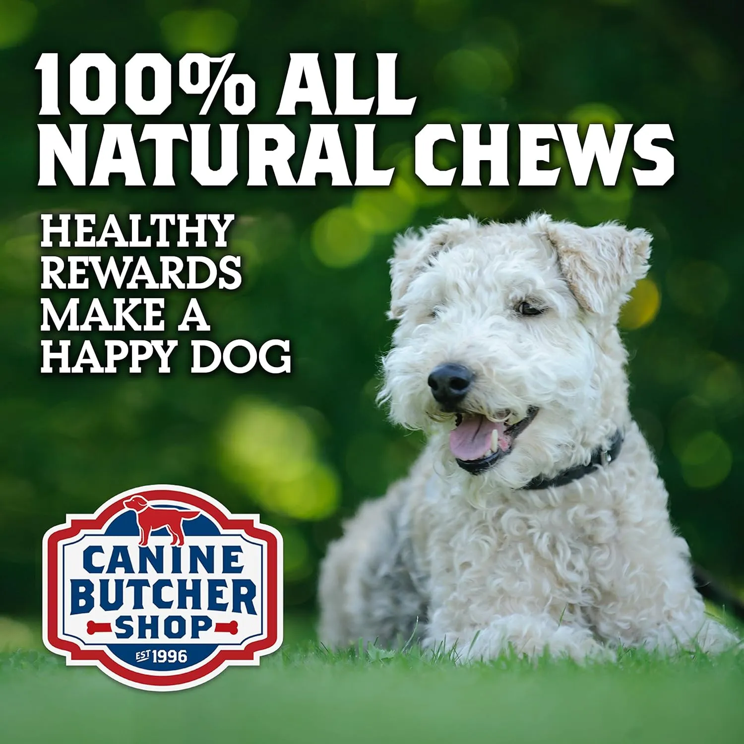 Duck Necks for Dogs, Raised & Made in USA, All-Natural Dog Chews, Treats (Pack of 12)