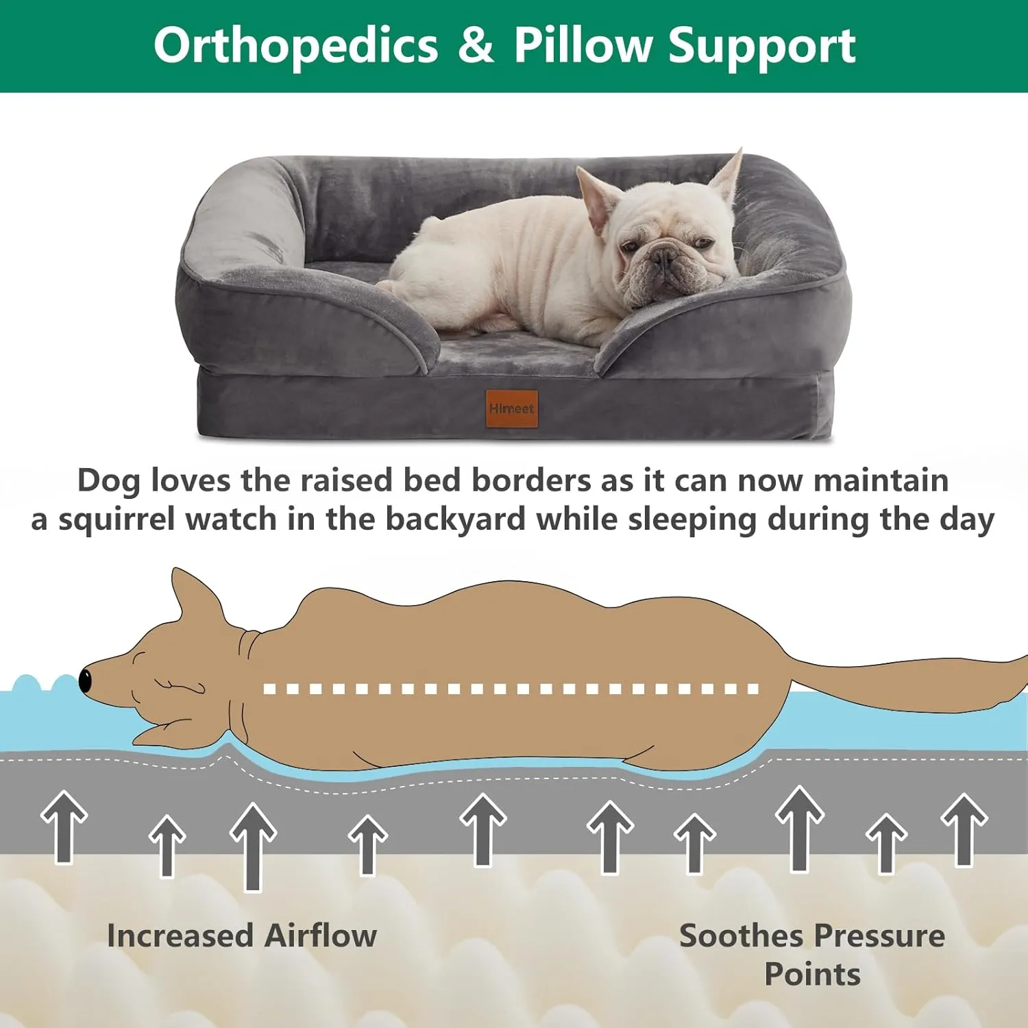Extra Small Pet Bed with Washable Cover XS Pet Bed 20x15 Waterproof Liner for Dogs Up to 10 lbs