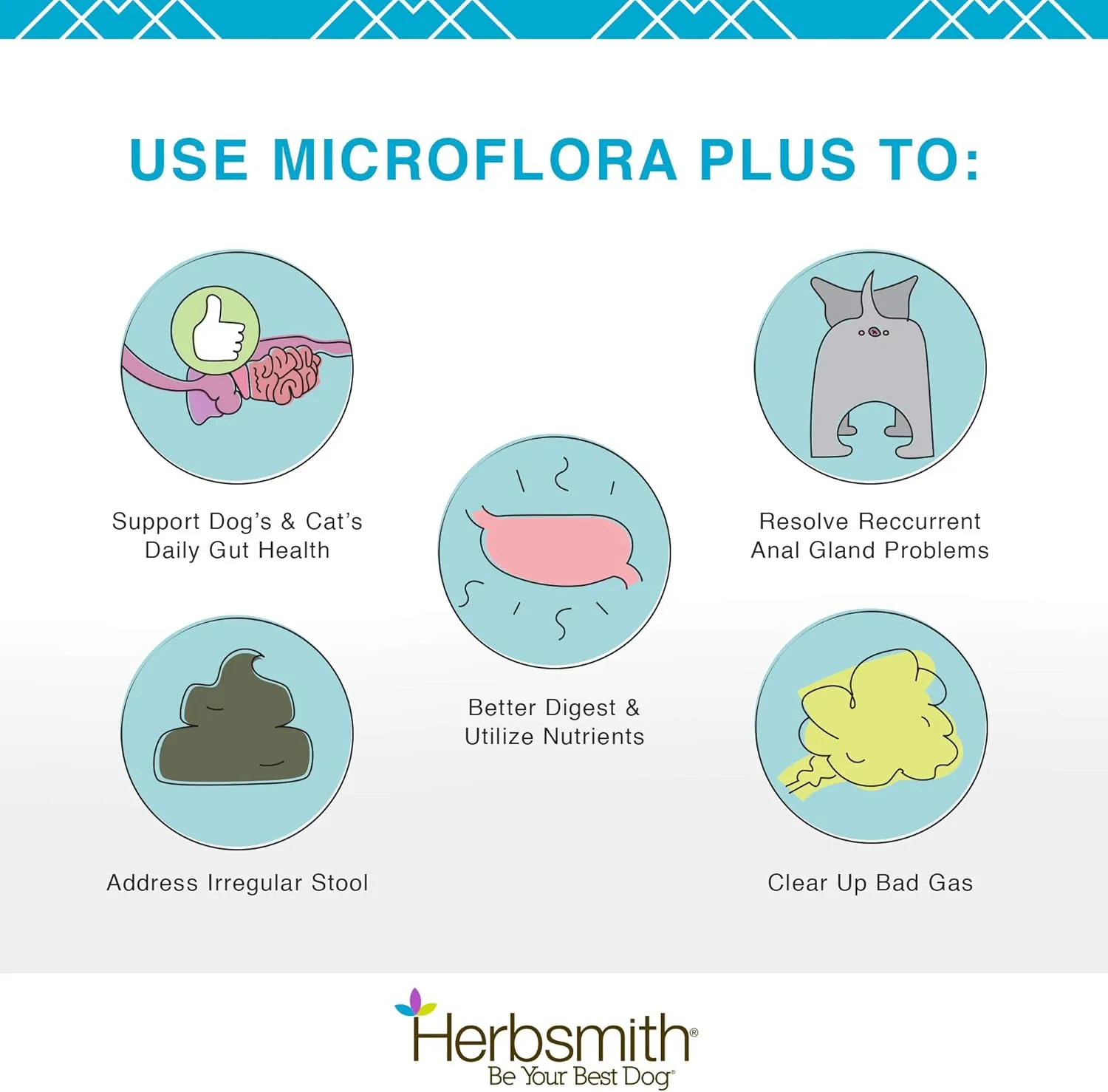 Herbsmith Microflora Plus  Dog Digestion Aid Probiotics and Digestive Enzymes for Dogs  Prebiotic for Dogs  60 Capsules
