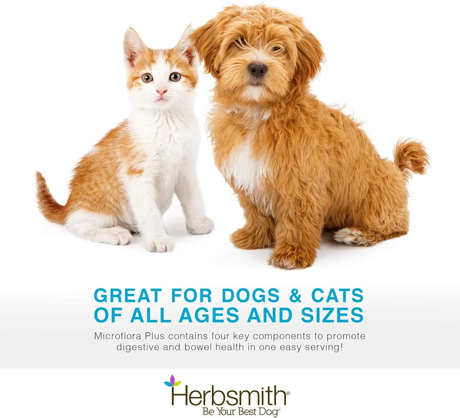 Herbsmith Microflora Plus  Dog Digestion Aid Probiotics and Digestive Enzymes for Dogs  Prebiotic for Dogs  60 Capsules
