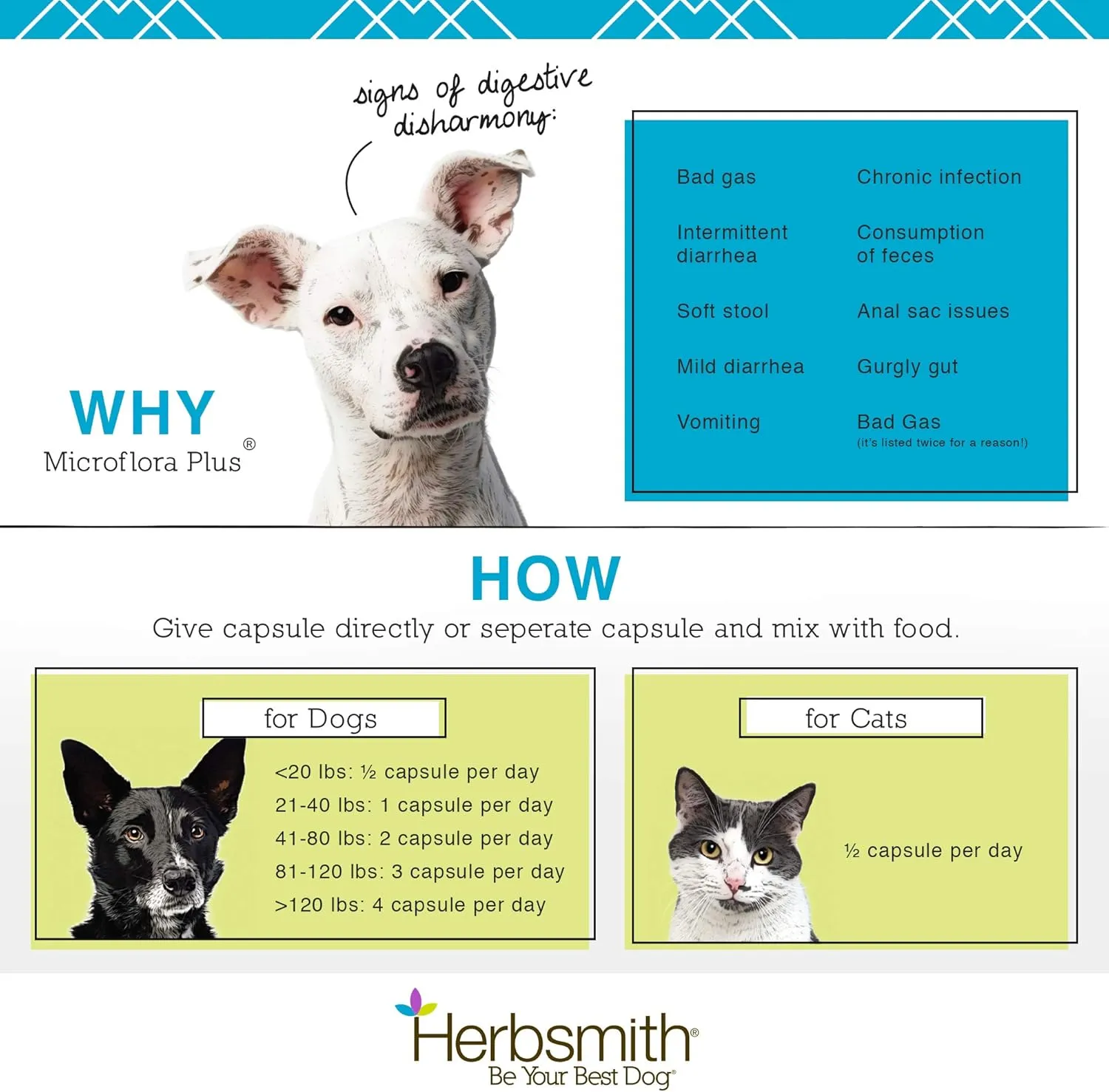 Herbsmith Microflora Plus  Dog Digestion Aid Probiotics and Digestive Enzymes for Dogs  Prebiotic for Dogs  60 Capsules