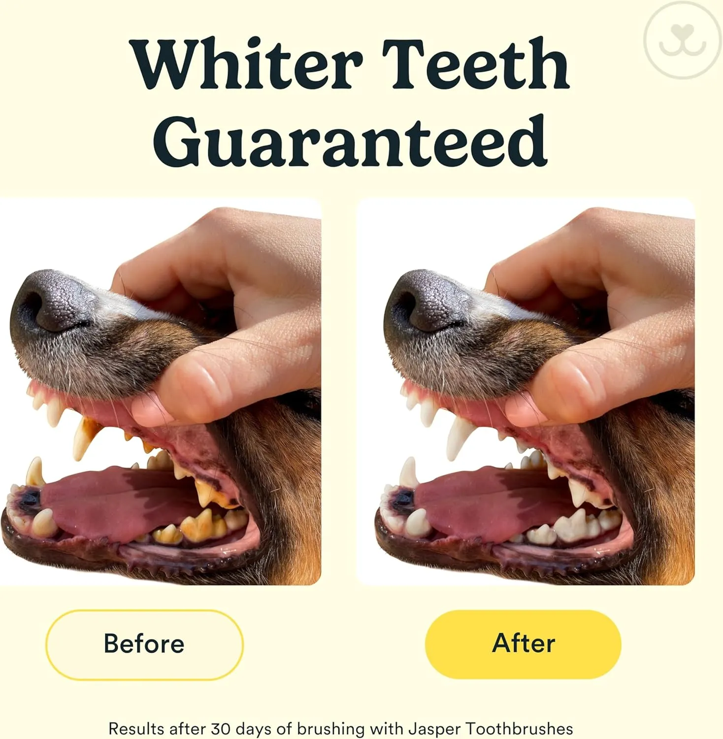 Jasper Dog Toothbrush, 360 Dog Tooth Brushing Kit, Finger Toothbrush, Cat Tooth Brush, Teeth Cleaning, Pet Tooth Brush for Small & Large Pets, Pet Toothpaste Not Included, 4-Pack Clear