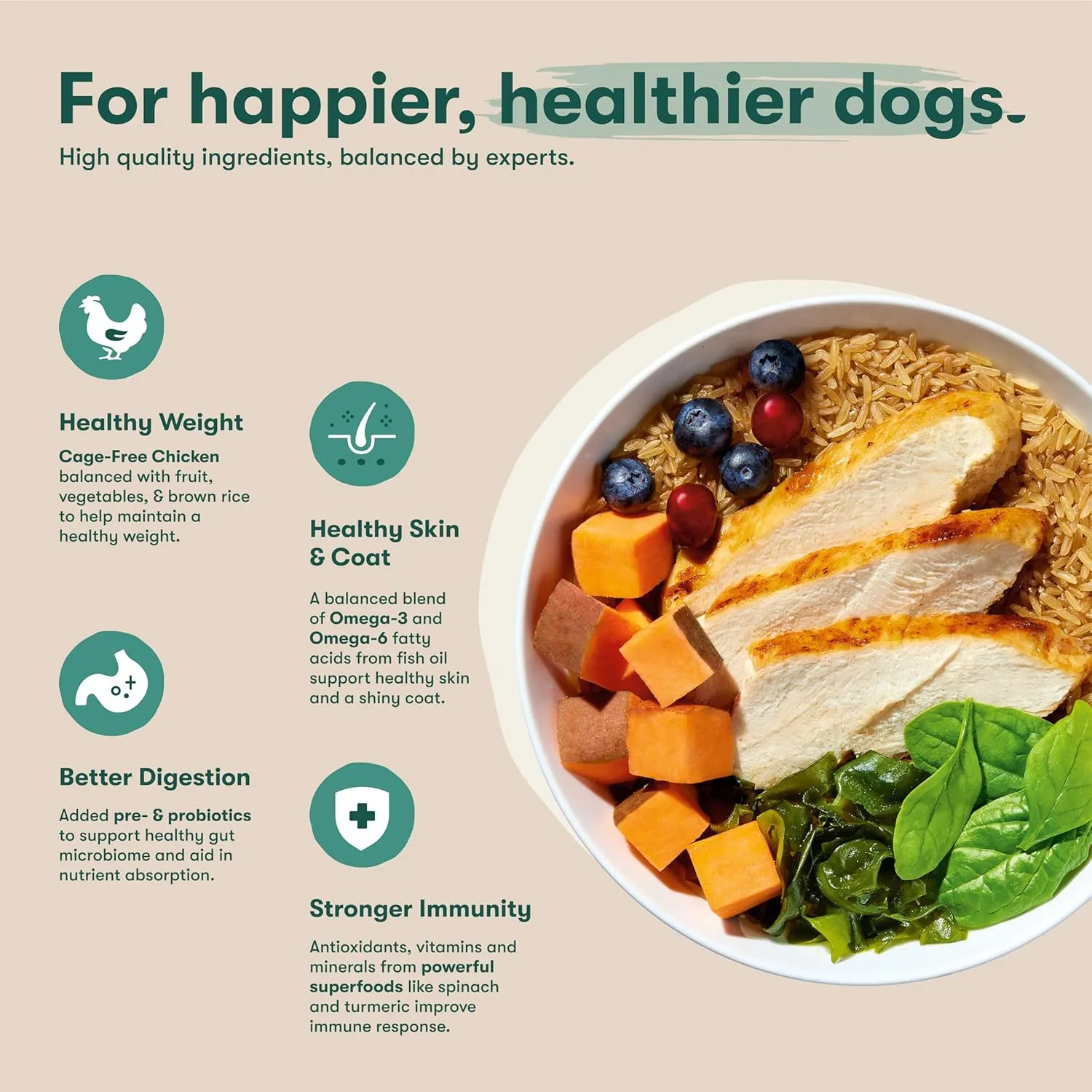 Jinx Premium Dry Dog Food, Puppy - Real Salmon, Brown Rice & Sweet Potato Kibble for Puppies with DHA, Protein & Calcium for Brain Health - Probiotics for Digestive Support - No Fillers - 4lb