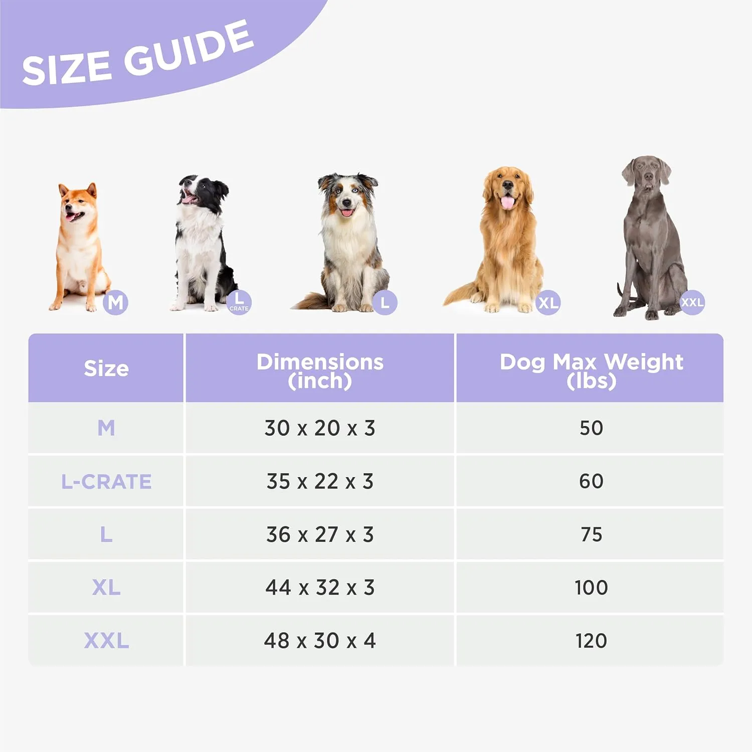 Lesure Outdoor Waterproof Dog Bed for Large Dogs, Orthopedic Egg Crate Foam Pet Bed with Oxford Fabric Surface and Removable and Durable Cover, Machine Washable, 36''x27'', Grey