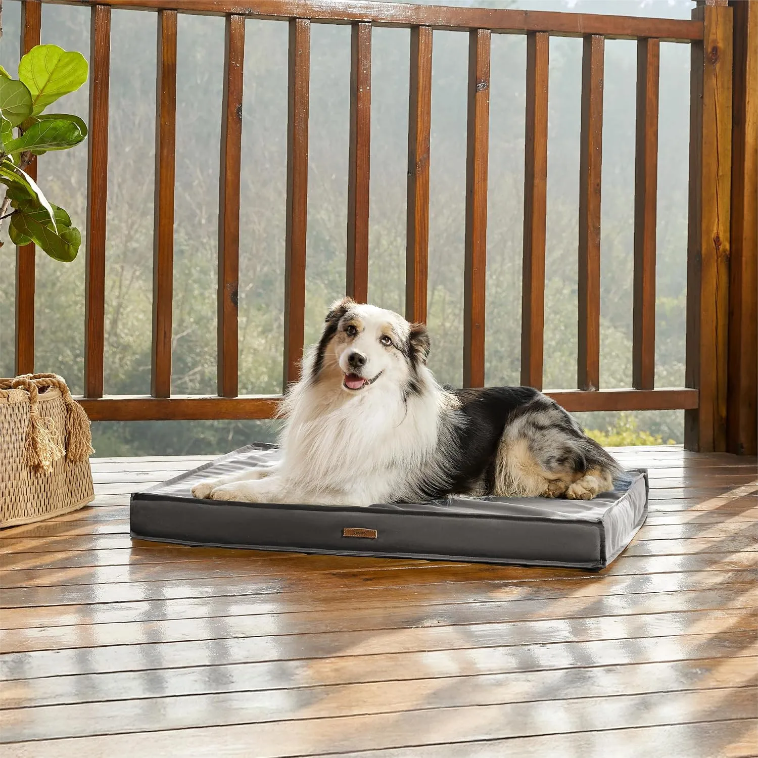 Lesure Outdoor Waterproof Dog Bed for Large Dogs, Orthopedic Egg Crate Foam Pet Bed with Oxford Fabric Surface and Removable and Durable Cover, Machine Washable, 36''x27'', Grey