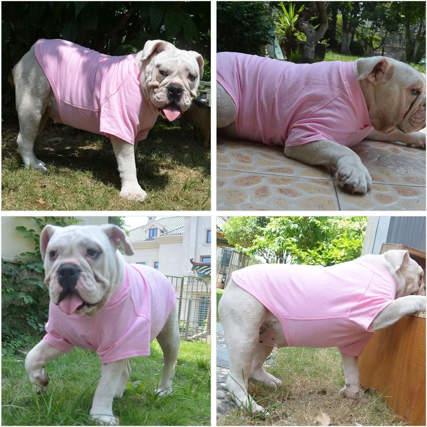 Lovelonglong Bulldog Clothes Dog Clothing Blank T-Shirt Tee Shirts for French Bulldog English Bulldog American Pit Bull Pugs 100% Cotton Skin Care Pink B-M