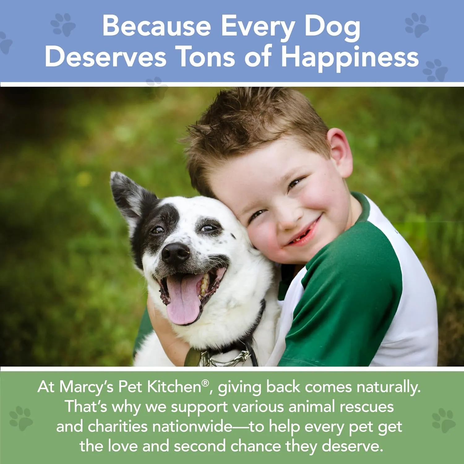 Marcy's Pet Kitchen-Diabetic Dog Treats-Vet Recommend-No Preservatives - Crunchy, Superfoods, All Natural-Vegan Homemade,-Gluten Free-for Sensitive Stomachs-Made in The USA Only.