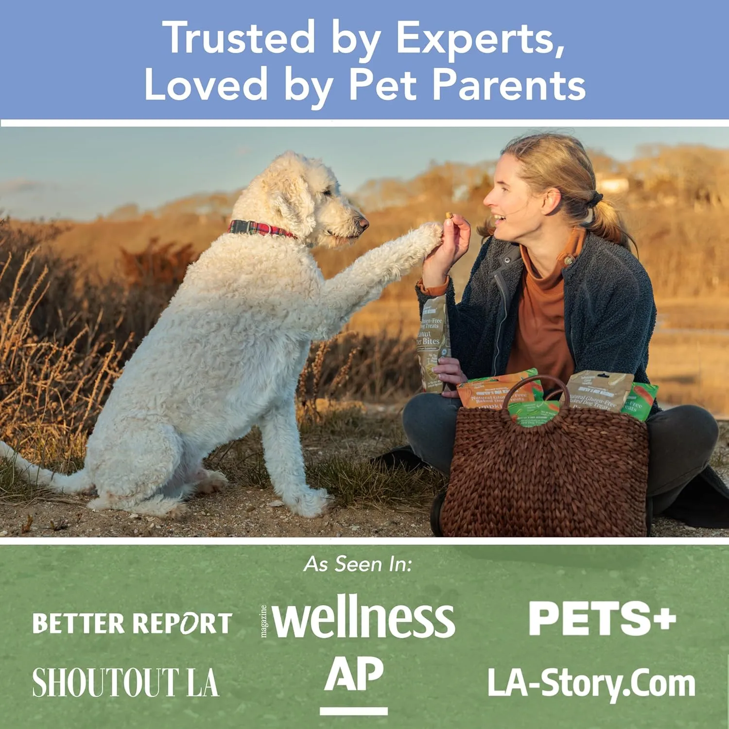 Marcy's Pet Kitchen-Diabetic Dog Treats-Vet Recommend-No Preservatives - Crunchy, Superfoods, All Natural-Vegan Homemade,-Gluten Free-for Sensitive Stomachs-Made in The USA Only.