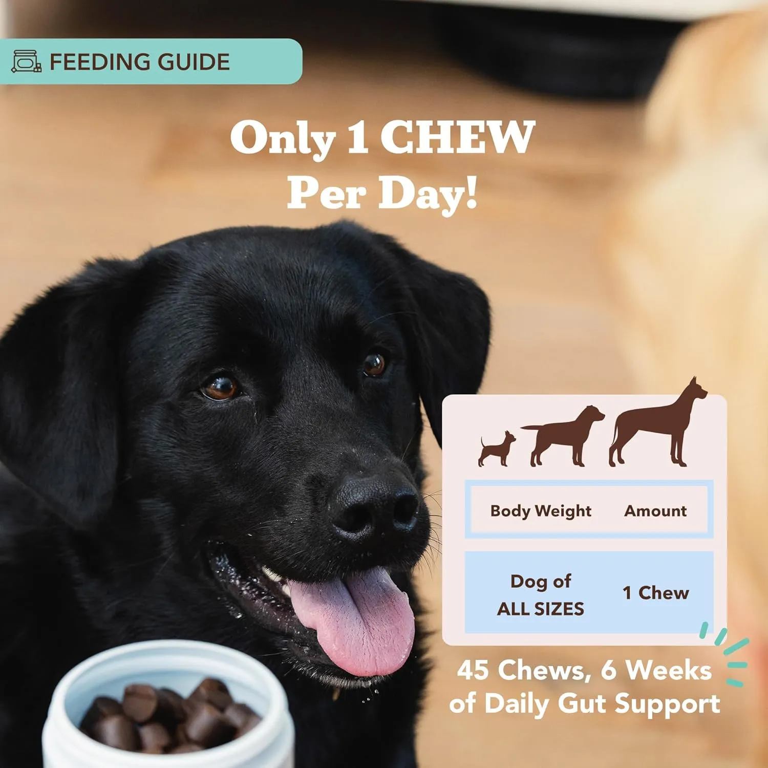 Natural Dog Company Probiotic Chews for Dogs,Gut Health, Digestive & Diarrhea Support, Prebiotics, Enzymes, Immune System & Allergy Relief, 1 Chew Daily for All Dogs, 1.5 Mnth Supply, USA Made (45 Ct)