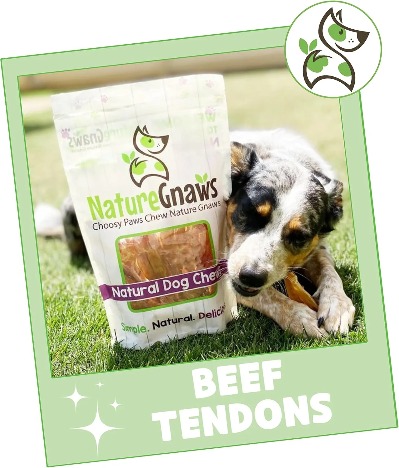 Nature Gnaws Beef Tendons for Dogs 4-5" (12 Count) - Mixed Thickness - Long Lasting for Small and Medium Dogs - Natural Beef Jerky Dog Chew Bones - Rawhide Free
