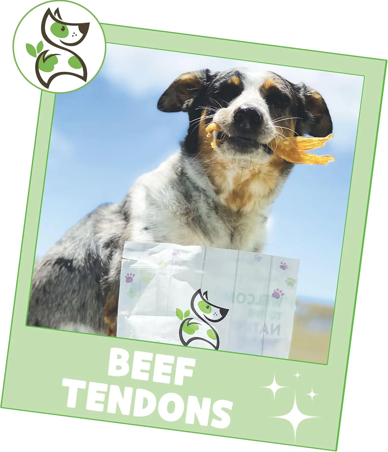 Nature Gnaws Beef Tendons for Dogs 4-5" (12 Count) - Mixed Thickness - Long Lasting for Small and Medium Dogs - Natural Beef Jerky Dog Chew Bones - Rawhide Free