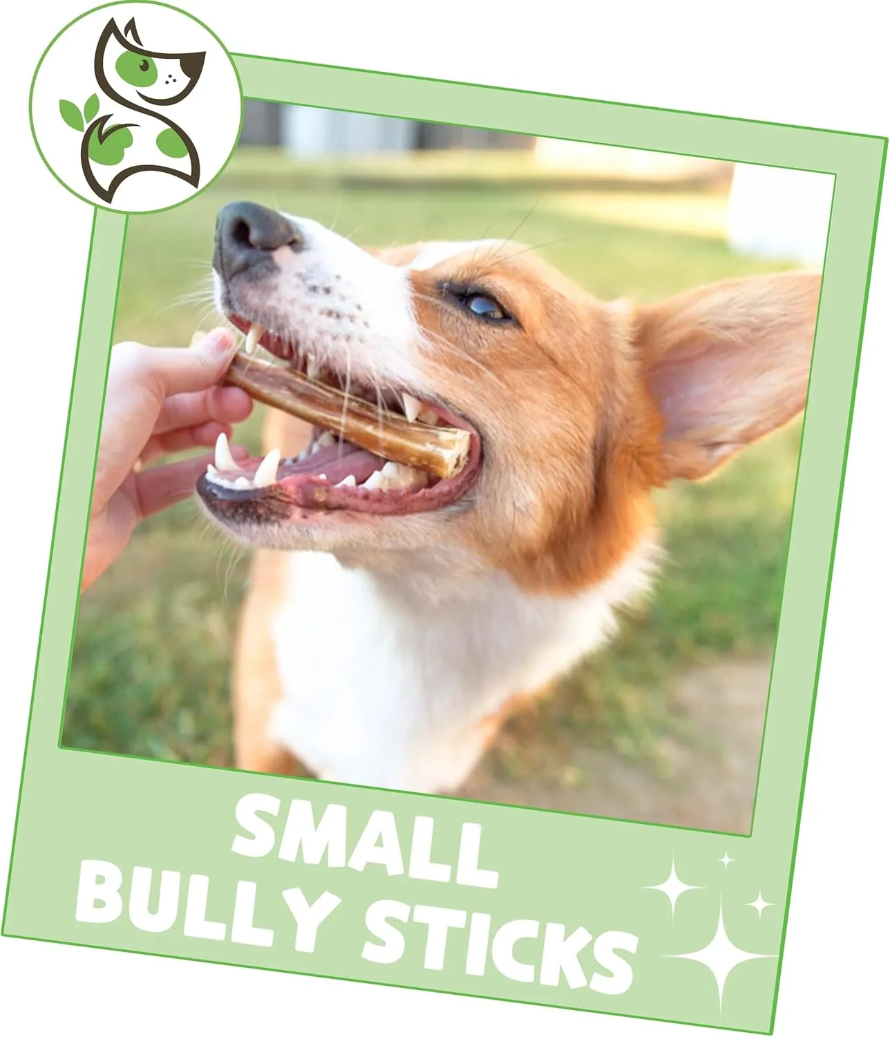 Nature Gnaws Small Bully Sticks for Dogs 5-6" (15 Count) - Long Lasting for Light Chewers and Puppies - Natural Thin Beef Dog Chew Bones - Rawhide Free