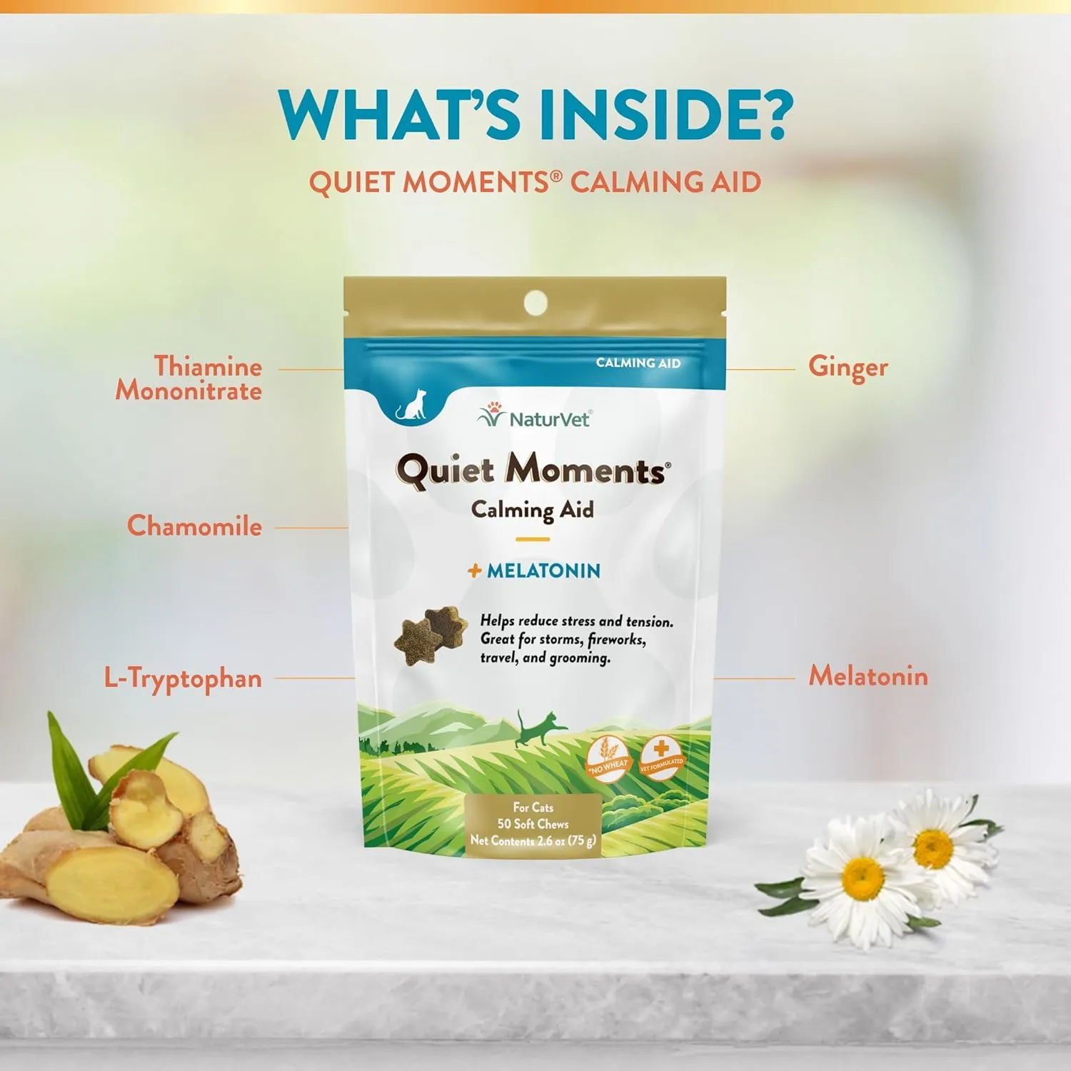 NaturVet Quiet Moments Calming Aid Cat Supplement Plus Melatonin  Helps Reduce Stress in Cats  for Pet Storm Anxiety, Motion Sickness, Grooming, Separation, Travel  50 Ct. Soft Chews