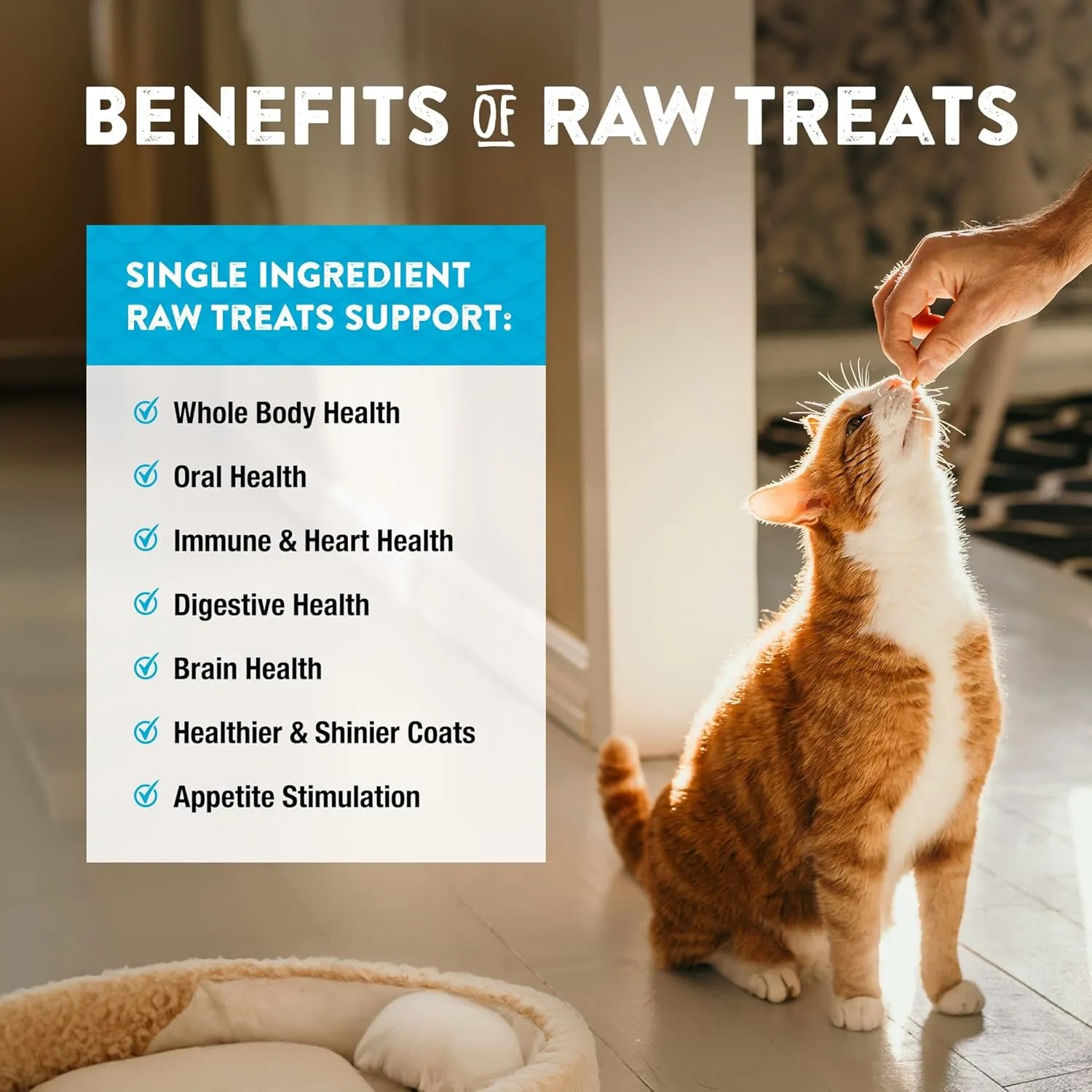 Northwest Naturals Raw Rewards Freeze-Dried Minnow Treats for Dogs and Cats - Bite-Sized Pieces - Healthy, 1 Ingredient, Human Grade Pet Food, All Natural - 1 Oz (Pack of 3)
