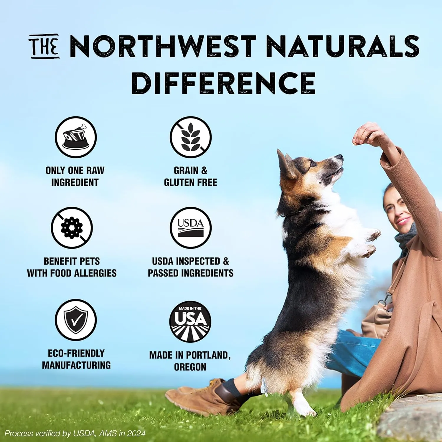 Northwest Naturals Raw Rewards Freeze-Dried Minnow Treats for Dogs and Cats - Bite-Sized Pieces - Healthy, 1 Ingredient, Human Grade Pet Food, All Natural - 1 Oz (Pack of 3)